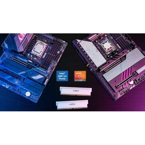 ОЗУ Crucial DDR5 64GB (2x32GB) 6400Mhz Pro OC White (CP2K32G64C40U5W) купить в Украине: Киев, Днепр, Харьков, Одесса  | Проверка совместимости, низкая цена, отзывы, характеристики от TELEMART фото