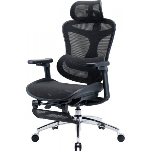 Крісло офісне з підставкою для ніг Sihoo DORO C300L Mesh with Footrest (DORO-C300L-A3-101-JT) Black купити в Україні: Київ, Львів, Хмельницький, Тернопіль, Івано-Франківськ | Низька ціна, відгуки, характеристики від TELEMART фото