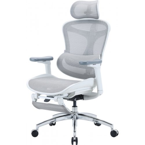 Крісло офісне з підставкою для ніг Sihoo DORO C300L Mesh with Footrest (DORO-C300L-A3-102-JT) White купити в Україні: Київ, Львів, Хмельницький, Тернопіль, Івано-Франківськ | Низька ціна, відгуки, характеристики від TELEMART фото