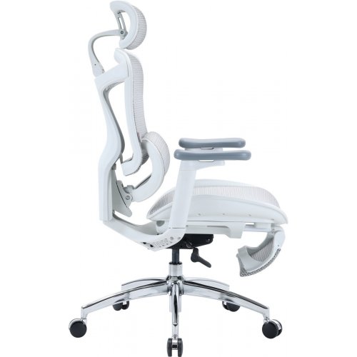 Крісло офісне з підставкою для ніг Sihoo DORO C300L Mesh with Footrest (DORO-C300L-A3-102-JT) White купити в Україні: Київ, Львів, Хмельницький, Тернопіль, Івано-Франківськ | Низька ціна, відгуки, характеристики від TELEMART фото