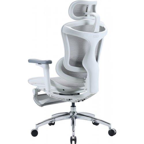 Крісло офісне з підставкою для ніг Sihoo DORO C300L Mesh with Footrest (DORO-C300L-A3-102-JT) White купити в Україні: Київ, Львів, Хмельницький, Тернопіль, Івано-Франківськ | Низька ціна, відгуки, характеристики від TELEMART фото