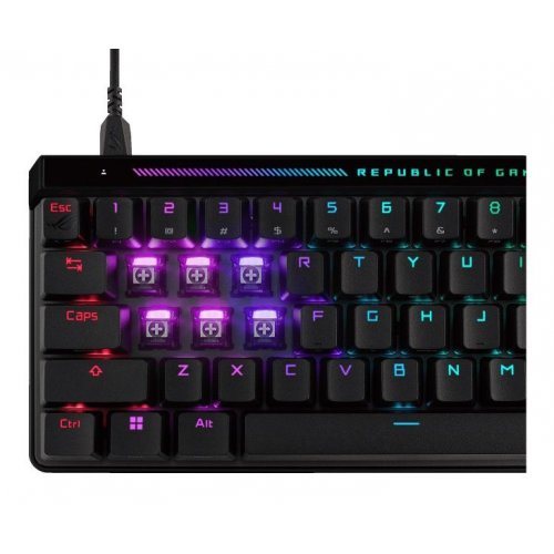 Клавіатура Asus ROG Falchion Ace HFX Magnetic Switch (90MP03VE-BKMA00) Black купити в Україні: Київ, Львів, Хмельницький, Тернопіль, Івано-Франківськ | Низька ціна, відгуки, характеристики від TELEMART фото