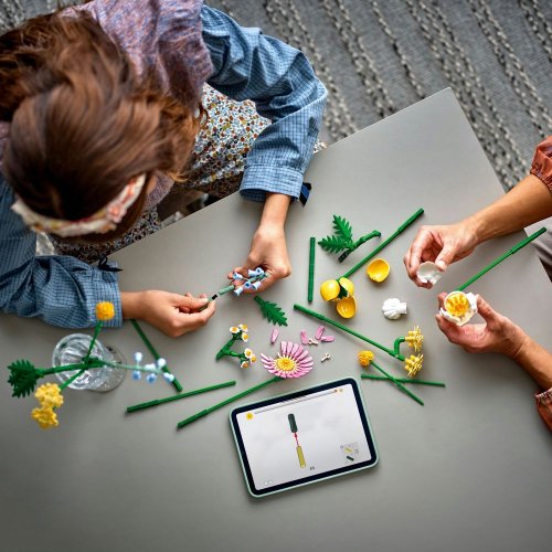 Конструктор LEGO Botanicals Мініатюрний сонячний букет 373 деталі (10347) купити в Україні: Київ, Львів, Хмельницький, Тернопіль, Івано-Франківськ | Низька ціна, відгуки, характеристики від TELEMART фото
