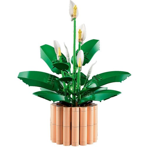 Конструктор LEGO Botanicals Спатіфіллум 474 деталі (11504) купити в Україні: Київ, Львів, Хмельницький, Тернопіль, Івано-Франківськ | Низька ціна, відгуки, характеристики від TELEMART фото