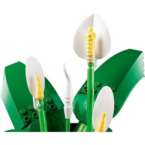 Конструктор LEGO Botanicals Спатіфіллум 474 деталі (11504) купити в Україні: Київ, Львів, Хмельницький, Тернопіль, Івано-Франківськ | Низька ціна, відгуки, характеристики від TELEMART фото