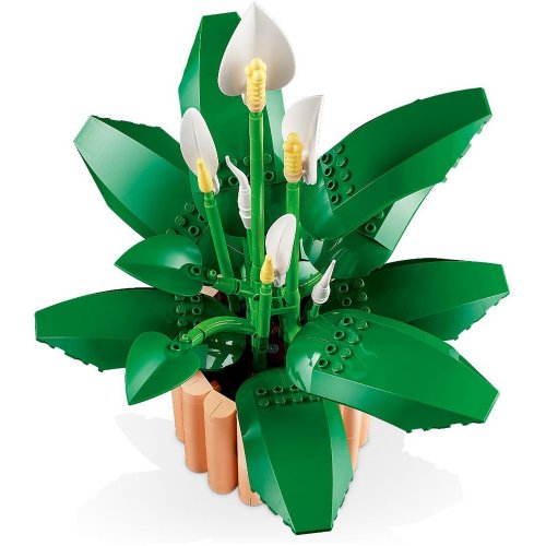 Конструктор LEGO Botanicals Спатіфіллум 474 деталі (11504) купити в Україні: Київ, Львів, Хмельницький, Тернопіль, Івано-Франківськ | Низька ціна, відгуки, характеристики від TELEMART фото