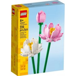 Конструктор LEGO Botanicals Квіти лотоса 220 деталей (40647)