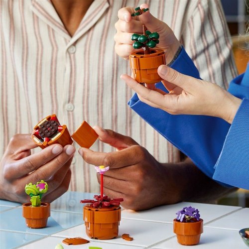 Конструктор LEGO Botanicals Мініатюрні рослини 758 деталей (10329) купити в Україні: Київ, Львів, Хмельницький, Тернопіль, Івано-Франківськ | Низька ціна, відгуки, характеристики від TELEMART фото