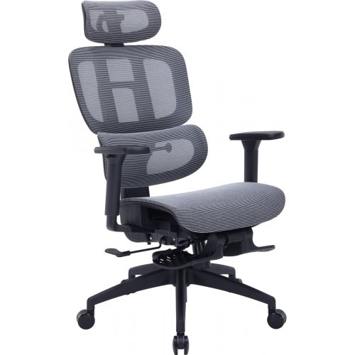 Крісло офісне OfficePro Skyline Footrest OC750 (OC750-B-DG-DG) Black/Dark Gray купити в Україні: Київ, Львів, Хмельницький, Тернопіль, Івано-Франківськ | Низька ціна, відгуки, характеристики від TELEMART фото