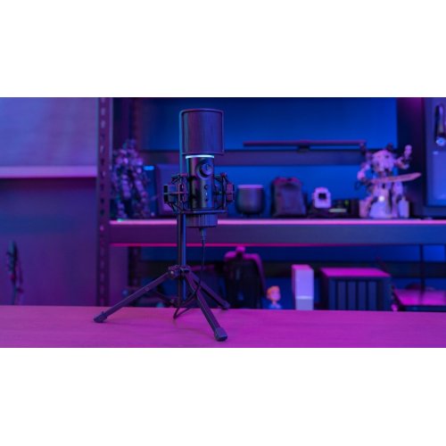 Мікрофон Streamplify MIC-48-RGB-TP (SPMC-MZ1C127.11) Black купити в Україні: Київ, Львів, Хмельницький, Тернопіль, Івано-Франківськ | Низька ціна, відгуки, характеристики від TELEMART фото