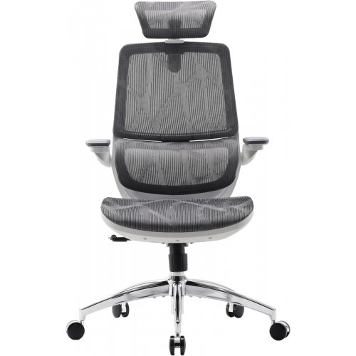Крісло офісне Sihoo M59AS Mesh (M59AS-M301) Gray купити в Україні: Київ, Львів, Хмельницький, Тернопіль, Івано-Франківськ | Низька ціна, відгуки, характеристики від TELEMART фото