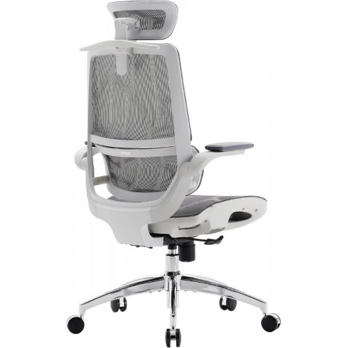 Крісло офісне Sihoo M59AS Mesh (M59AS-M301) Gray купити в Україні: Київ, Львів, Хмельницький, Тернопіль, Івано-Франківськ | Низька ціна, відгуки, характеристики від TELEMART фото