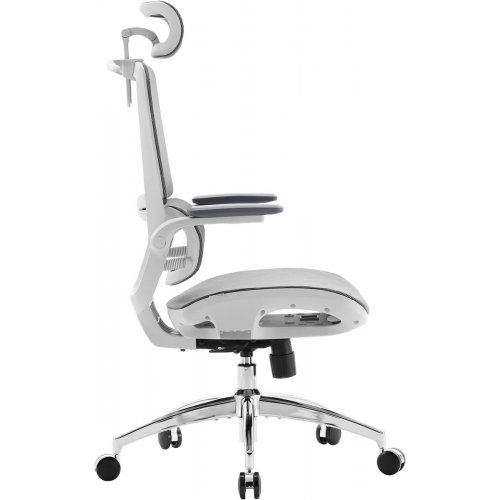 Крісло офісне Sihoo M59AS Mesh (M59AS-M301) Gray купити в Україні: Київ, Львів, Хмельницький, Тернопіль, Івано-Франківськ | Низька ціна, відгуки, характеристики від TELEMART фото