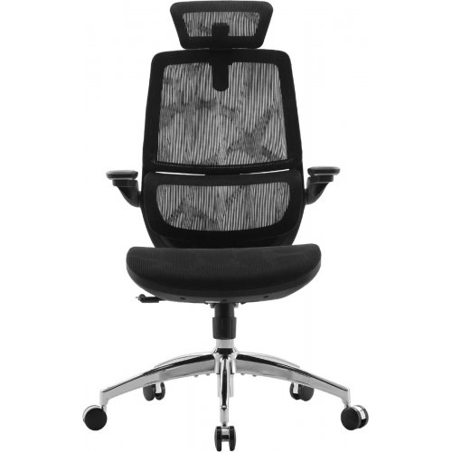 Крісло офісне Sihoo M59AS Mesh (M59AS-M302) Black купити в Україні: Київ, Львів, Хмельницький, Тернопіль, Івано-Франківськ | Низька ціна, відгуки, характеристики від TELEMART фото