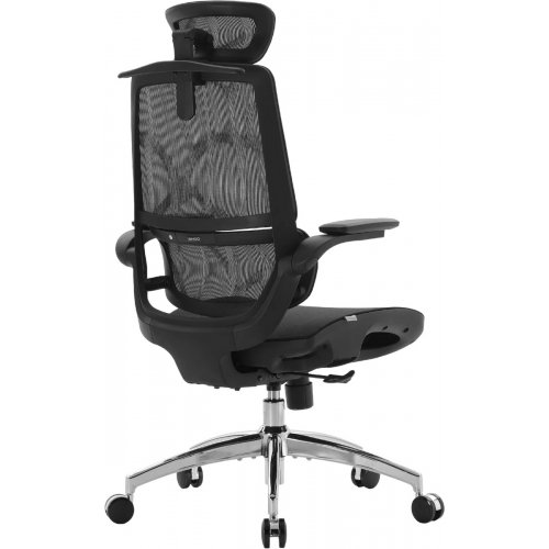 Крісло офісне Sihoo M59AS Mesh (M59AS-M302) Black купити в Україні: Київ, Львів, Хмельницький, Тернопіль, Івано-Франківськ | Низька ціна, відгуки, характеристики від TELEMART фото