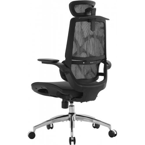 Крісло офісне Sihoo M59AS Mesh (M59AS-M302) Black купити в Україні: Київ, Львів, Хмельницький, Тернопіль, Івано-Франківськ | Низька ціна, відгуки, характеристики від TELEMART фото