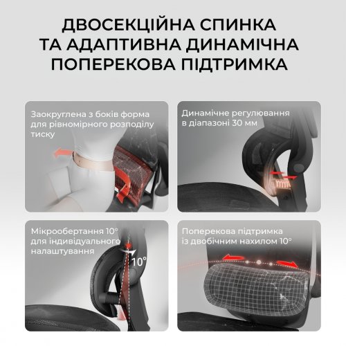 Крісло офісне Sihoo M59AS Mesh (M59AS-M302) Black купити в Україні: Київ, Львів, Хмельницький, Тернопіль, Івано-Франківськ | Низька ціна, відгуки, характеристики від TELEMART фото