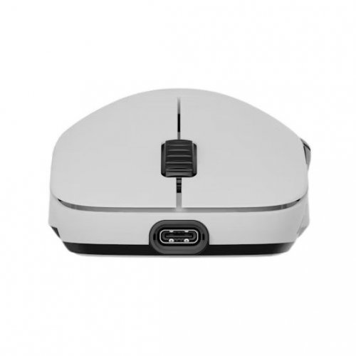 Мышка Endgame Gear XM2w 4K V2 Wireless (PGW-EG-MOU-080) White купить в Украине: Киев, Днепр, Харьков, Одесса  | Низкая цена, отзывы, характеристики от TELEMART фото