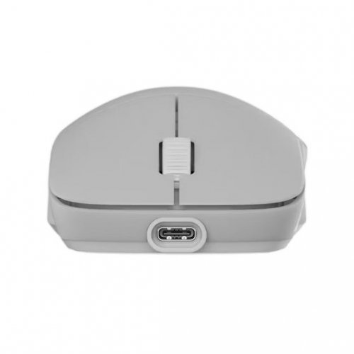 Мышка Endgame Gear XM2w 4K V2 Wireless (PGW-EG-MOU-082) White Frost купить в Украине: Киев, Днепр, Харьков, Одесса  | Низкая цена, отзывы, характеристики от TELEMART фото
