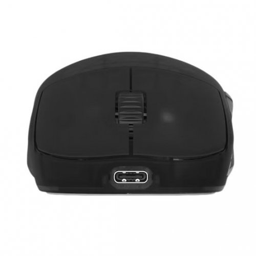 Мышка Endgame Gear OP1w 4K V2 Wireless (PGW-EG-MOU-073) Dark Frost купить в Украине: Киев, Днепр, Харьков, Одесса  | Низкая цена, отзывы, характеристики от TELEMART фото