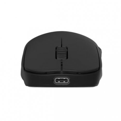 Миша Endgame Gear OP1w 4K V2 Wireless (PGW-EG-MOU-071) Black купити в Україні: Київ, Львів, Хмельницький, Тернопіль, Івано-Франківськ | Низька ціна, відгуки, характеристики від TELEMART фото