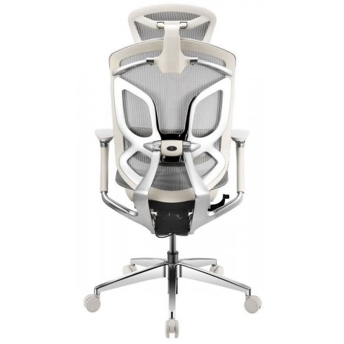 Уценка эргономичное кресло GT Chair Dvary X Pro Grey (Следы использования, 863635) купить в Украине: Киев, Днепр, Харьков, Одесса  | Низкая цена, отзывы, характеристики от TELEMART фото