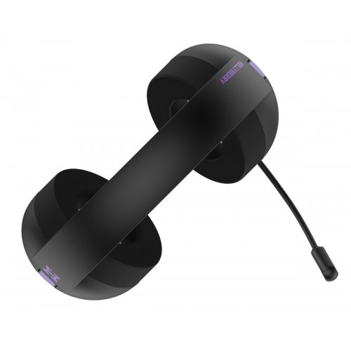 Наушники HATOR Hellyberry HH30 Wireless (HH30_WIRELESS_BV) Black/Violet купить в Украине: Киев, Днепр, Харьков, Одесса  | Низкая цена, отзывы, характеристики от TELEMART фото