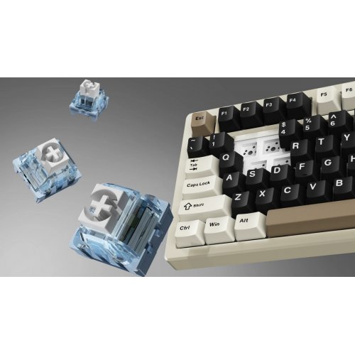 Клавиатура Attack Shark X75 RGB Kailh MX Crystal Switches Wireless (AS-6972792471457-CW-UA) Cheese White купить в Украине: Киев, Днепр, Харьков, Одесса  | Низкая цена, отзывы, характеристики от TELEMART фото
