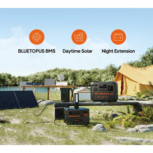 Зарядная станция BLUETTI AC50P 700W 504Wh купить в Украине: Киев, Днепр, Харьков, Одесса  | Низкая цена, отзывы, характеристики от TELEMART фото