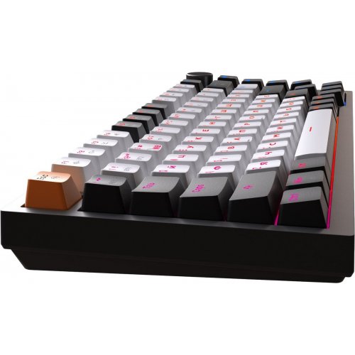 Клавиатура GamePro Asgard Valhalla Pro QLAB Sakura Switch Wireless (MK160-B-QS-PRO) Black купить в Украине: Киев, Днепр, Харьков, Одесса  | Низкая цена, отзывы, характеристики от TELEMART фото