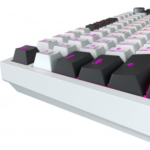 Клавиатура GamePro Asgard Valhalla Pro QLAB Sakura Switch Wireless with Display (MK160-W-D-QS-PRO) White купить в Украине: Киев, Днепр, Харьков, Одесса  | Низкая цена, отзывы, характеристики от TELEMART фото