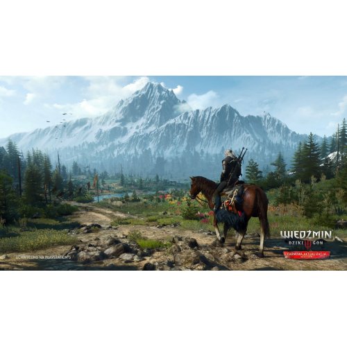 Игра The Witcher 3: Wild Hunt Complete Edition + 10th Anniversary Steelbook (PS5) Blu-ray (5908305250463) купить в Украине: Киев, Днепр, Харьков, Одесса  | Низкая цена, отзывы, характеристики от TELEMART фото
