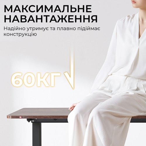 Компьютерный стол с электрорегулировкой высоты Sihoo D03 140 (D03-104/D03-108) Walnut/Black купить в Украине: Киев, Днепр, Харьков, Одесса  | Низкая цена, отзывы, характеристики от TELEMART фото