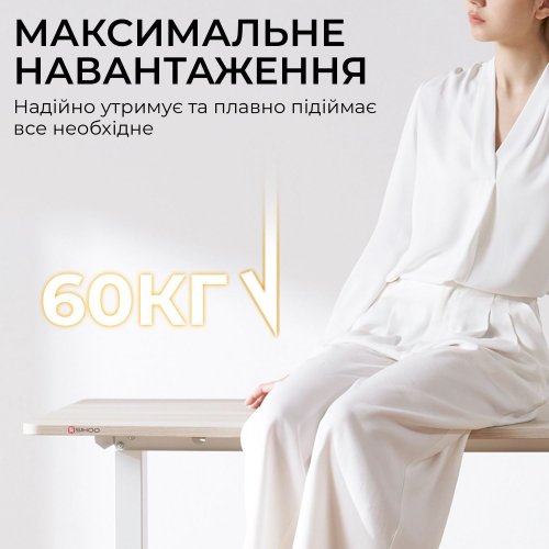 Компьютерный стол с электрорегулировкой высоты Sihoo D03 140 (D03-106/D03-107) White купить в Украине: Киев, Днепр, Харьков, Одесса  | Низкая цена, отзывы, характеристики от TELEMART фото