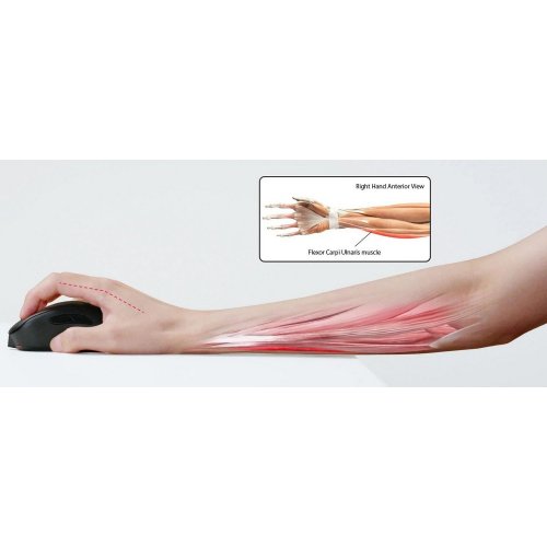 Уценка мышка Zowie EC3-CW (9H.N4ABE.A2E) Black (Вскрытая упаковка, 871309) купить в Украине: Киев, Днепр, Харьков, Одесса  | Низкая цена, отзывы, характеристики от TELEMART фото