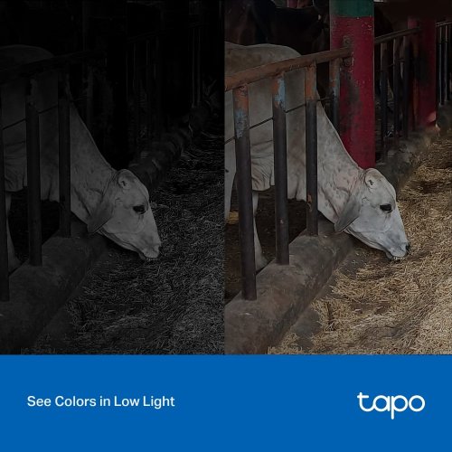 IP-камера TP-LINK Tapo C320WS купить в Украине: Киев, Днепр, Харьков, Одесса  | Низкая цена, отзывы, характеристики от TELEMART фото