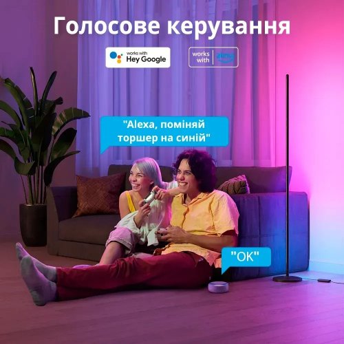 Розумний торшер Govee H8076 RGBICW Floor Lamp Lite (H8076C13) Black купити в Україні: Київ, Львів, Хмельницький, Тернопіль, Івано-Франківськ | Низька ціна, відгуки, характеристики від TELEMART фото