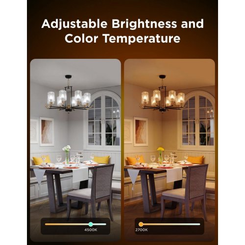 Розумна лампа Govee H600C E14 5W 450Lm 2700K-6400K (B600CC02) White купити в Україні: Київ, Львів, Хмельницький, Тернопіль, Івано-Франківськ | Низька ціна, відгуки, характеристики від TELEMART фото