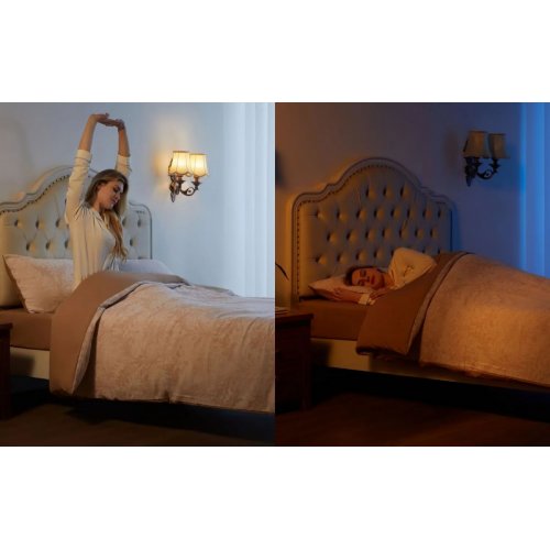 Розумна лампа Govee H600C E14 5W 450Lm 2700K-6400K (B600CC02) White купити в Україні: Київ, Львів, Хмельницький, Тернопіль, Івано-Франківськ | Низька ціна, відгуки, характеристики від TELEMART фото