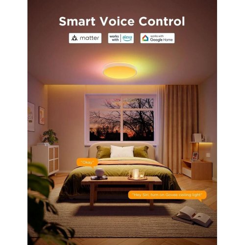 Стельовий світильник Govee Smart Ceiling Light Pro (H60A6C01) White купити в Україні: Київ, Львів, Хмельницький, Тернопіль, Івано-Франківськ | Низька ціна, відгуки, характеристики від TELEMART фото