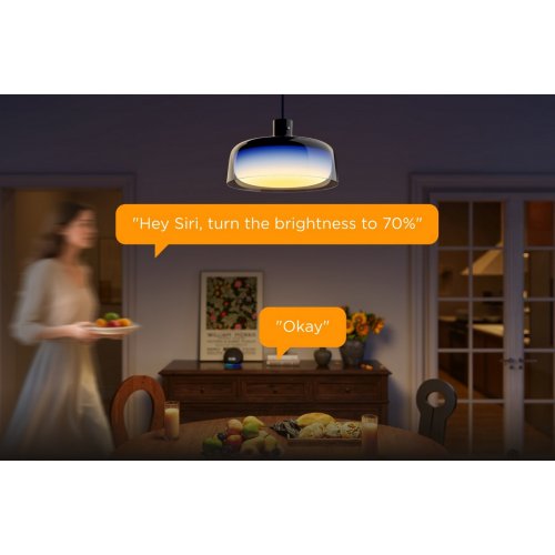 Лампа Govee H60C1 Pendant Light 1300Lm 2700K-6500K (H60C13F1) Black купити в Україні: Київ, Львів, Хмельницький, Тернопіль, Івано-Франківськ | Низька ціна, відгуки, характеристики від TELEMART фото