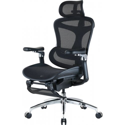 Крісло офісне Sihoo DORO C300 Pro Mesh with Footrest (DORO-C300-PRO-M101-JT) Black купити в Україні: Київ, Львів, Хмельницький, Тернопіль, Івано-Франківськ | Низька ціна, відгуки, характеристики від TELEMART фото