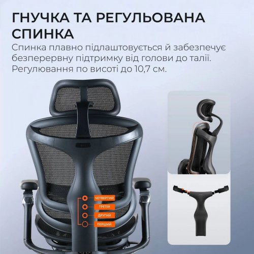 Крісло офісне Sihoo DORO C300 Pro Mesh with Footrest (DORO-C300-PRO-M101-JT) Black купити в Україні: Київ, Львів, Хмельницький, Тернопіль, Івано-Франківськ | Низька ціна, відгуки, характеристики від TELEMART фото
