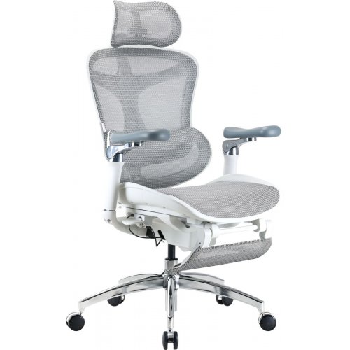 Крісло офісне Sihoo DORO C300 Pro Mesh with Footrest (DORO-C300-PRO-M102-JT) White купити в Україні: Київ, Львів, Хмельницький, Тернопіль, Івано-Франківськ | Низька ціна, відгуки, характеристики від TELEMART фото