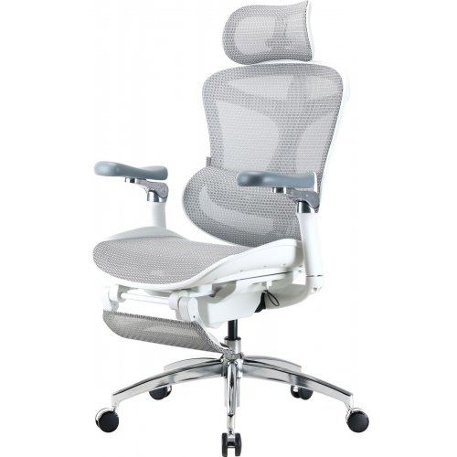 Крісло офісне Sihoo DORO C300 Pro Mesh with Footrest (DORO-C300-PRO-M102-JT) White купити в Україні: Київ, Львів, Хмельницький, Тернопіль, Івано-Франківськ | Низька ціна, відгуки, характеристики від TELEMART фото