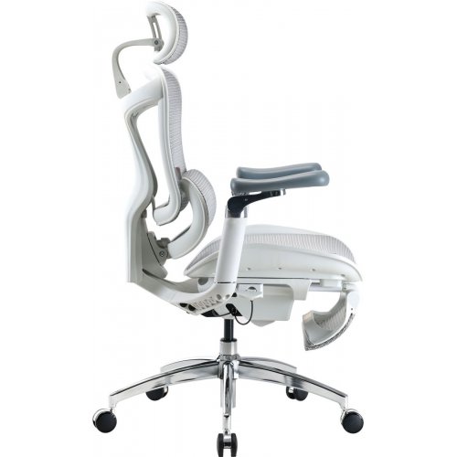 Крісло офісне Sihoo DORO C300 Pro Mesh with Footrest (DORO-C300-PRO-M102-JT) White купити в Україні: Київ, Львів, Хмельницький, Тернопіль, Івано-Франківськ | Низька ціна, відгуки, характеристики від TELEMART фото