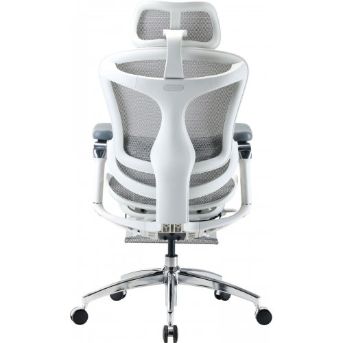Крісло офісне Sihoo DORO C300 Pro Mesh with Footrest (DORO-C300-PRO-M102-JT) White купити в Україні: Київ, Львів, Хмельницький, Тернопіль, Івано-Франківськ | Низька ціна, відгуки, характеристики від TELEMART фото