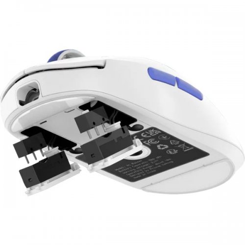 Мышка Proove Gaming RC Raider 8K (WMRR00122017) White/Purple купить в Украине: Киев, Днепр, Харьков, Одесса  | Низкая цена, отзывы, характеристики от TELEMART фото
