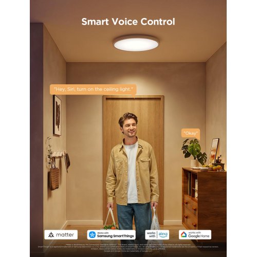 Потолочний світильник Govee 12" RGBWW + RGBIC Smart Ceiling Light (H80A1C01) купити в Україні: Київ, Львів, Хмельницький, Тернопіль, Івано-Франківськ | Низька ціна, відгуки, характеристики від TELEMART фото