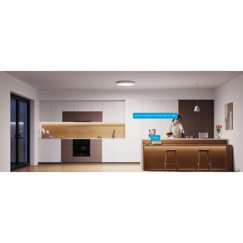 Потолочний світильник Govee 12" RGBWW + RGBIC Smart Ceiling Light (H80A1C01) купити в Україні: Київ, Львів, Хмельницький, Тернопіль, Івано-Франківськ | Низька ціна, відгуки, характеристики від TELEMART фото